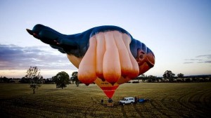 skywhale